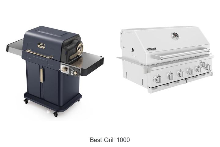 best grill 1000