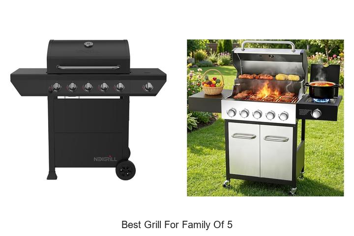 best grill for family of 5