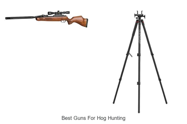 best guns for hog hunting