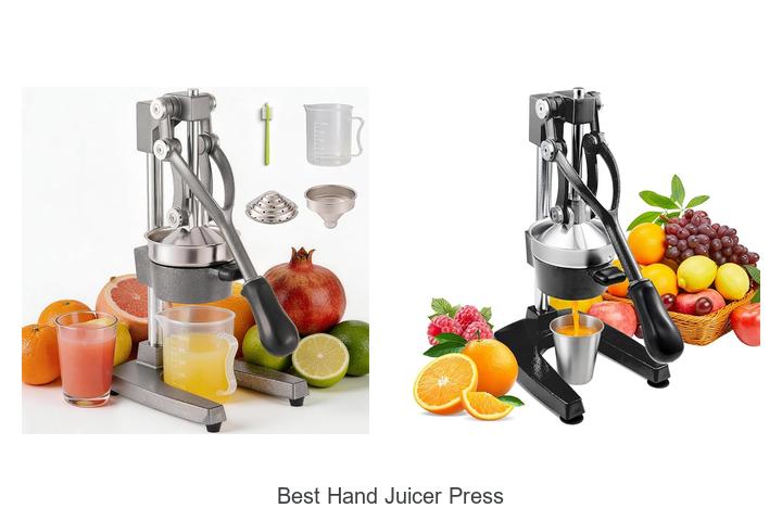 best hand juicer press