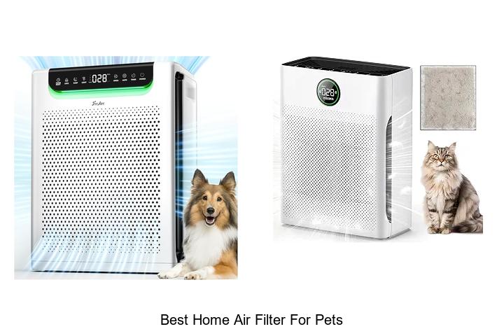 best home air filter for pets