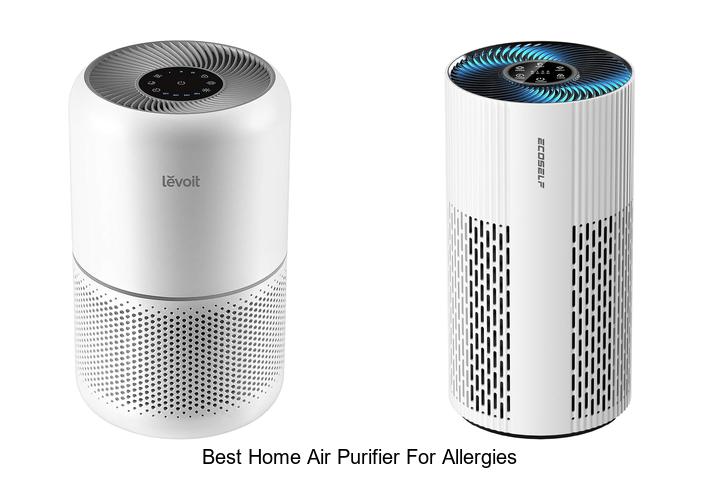 best home air purifier for allergies