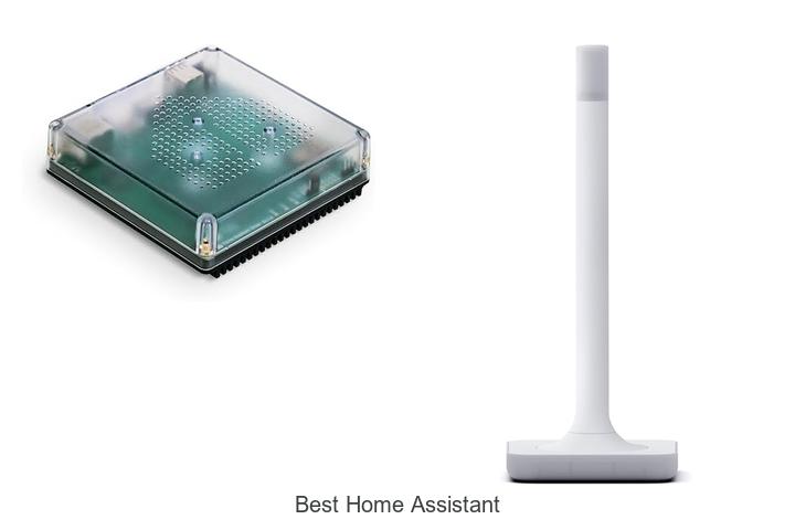 best home assistant