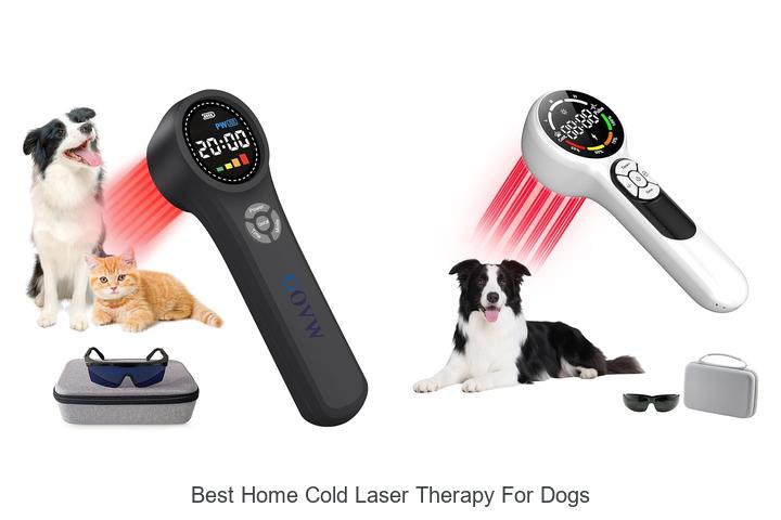 best home cold laser therapy for dogs