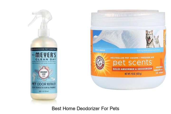 best home deodorizer for pets