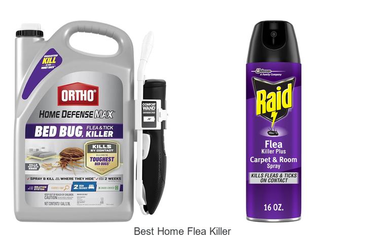 best home flea killer