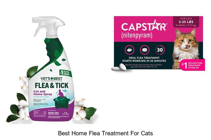 best home flea treatment for cats