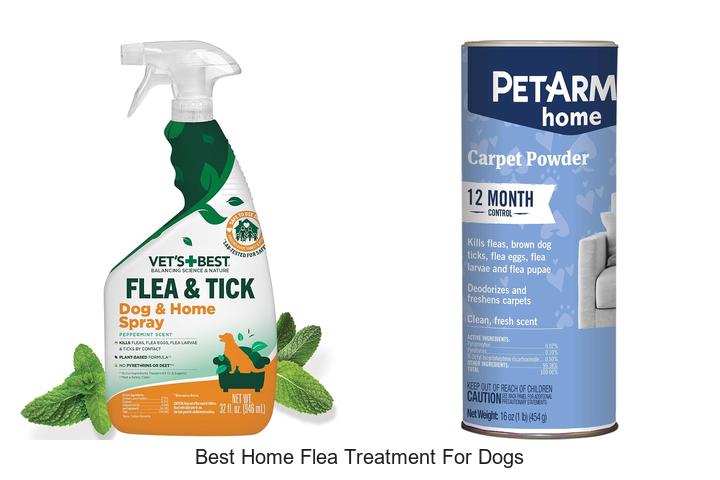 best home flea treatment for dogs