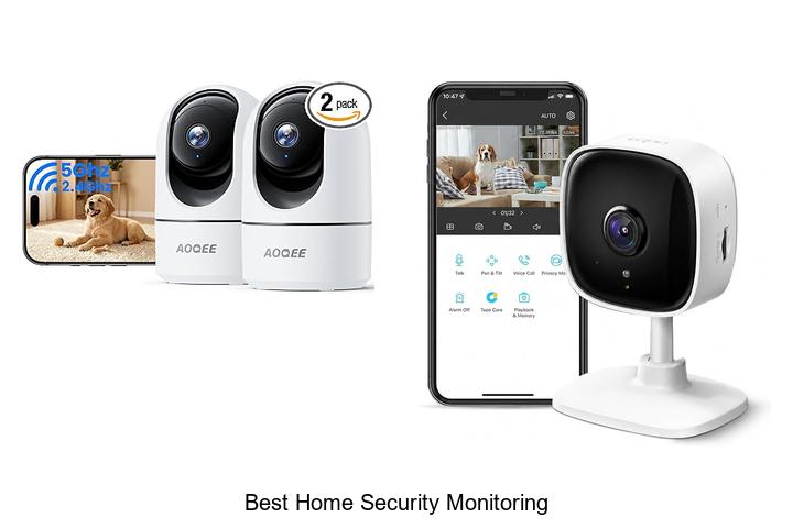 best home security monitoring