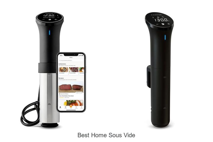 best home sous vide
