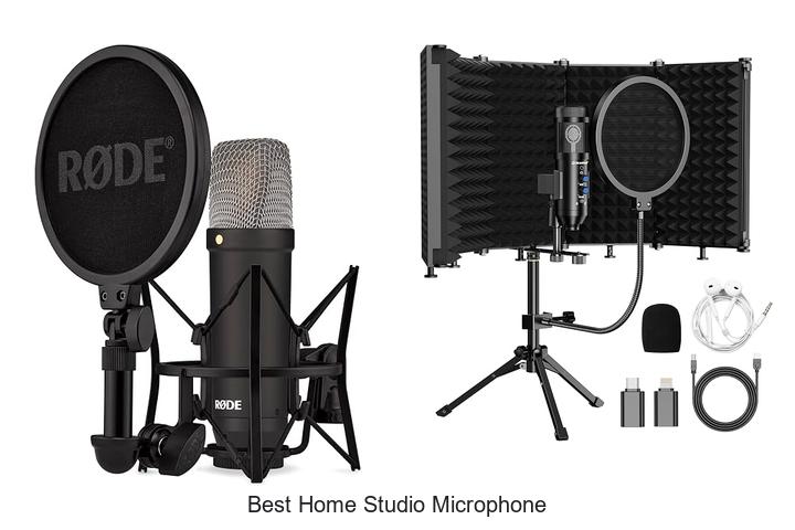 best home studio microphone