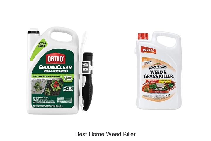 best home weed killer