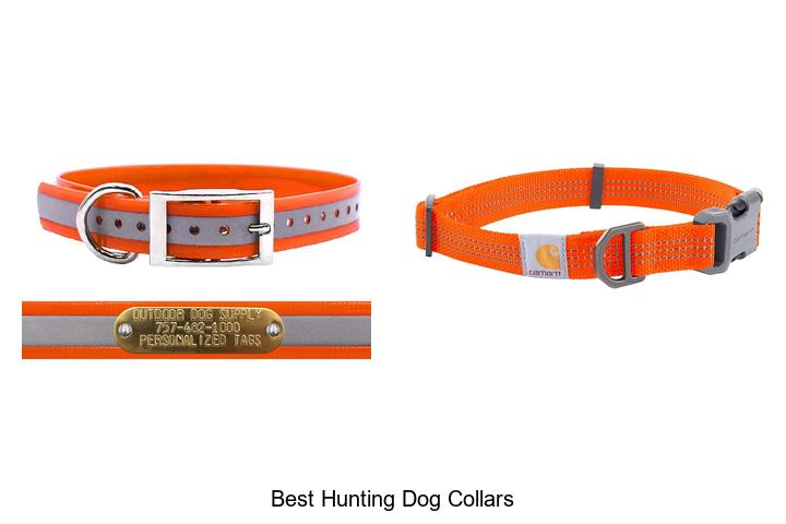 best hunting dog collars