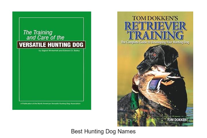 best hunting dog names
