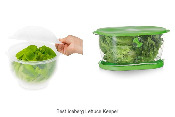 best iceberg lettuce keeper