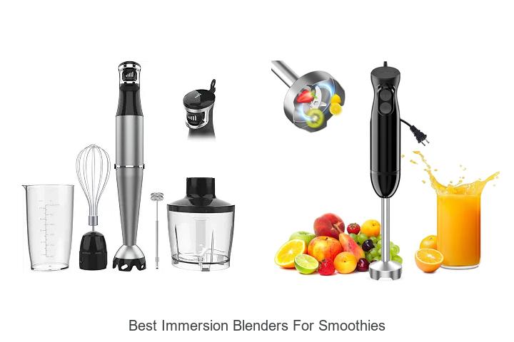 best immersion blenders for smoothies