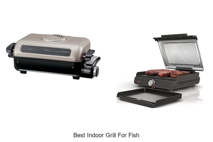best indoor grill for fish