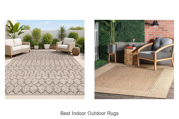 best indoor outdoor rugs
