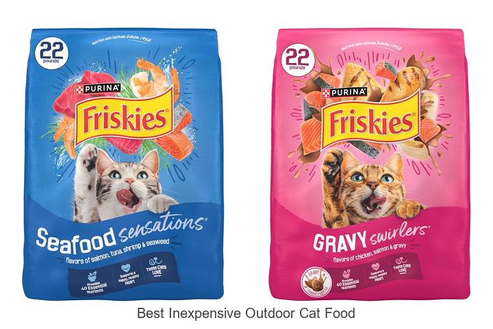 best inexpensive outdoor cat food