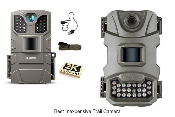 best inexpensive trail camera