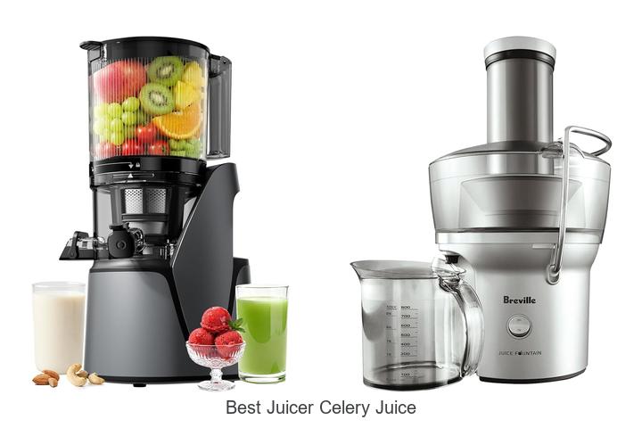 best juicer celery juice