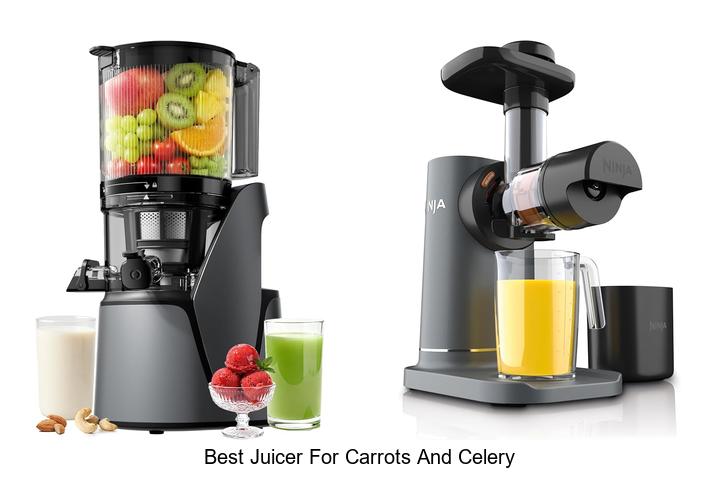 best juicer for carrots and celery
