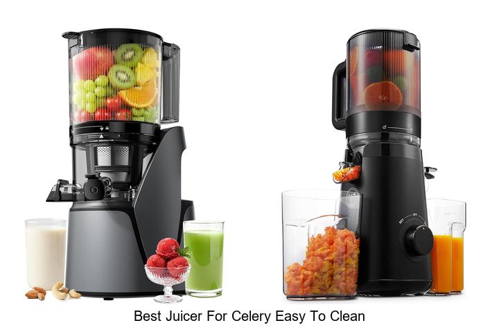 best juicer for celery easy to clean
