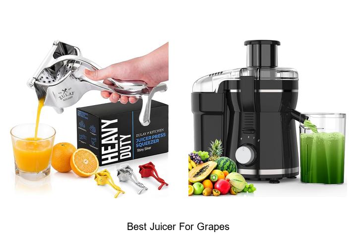 best juicer for grapes