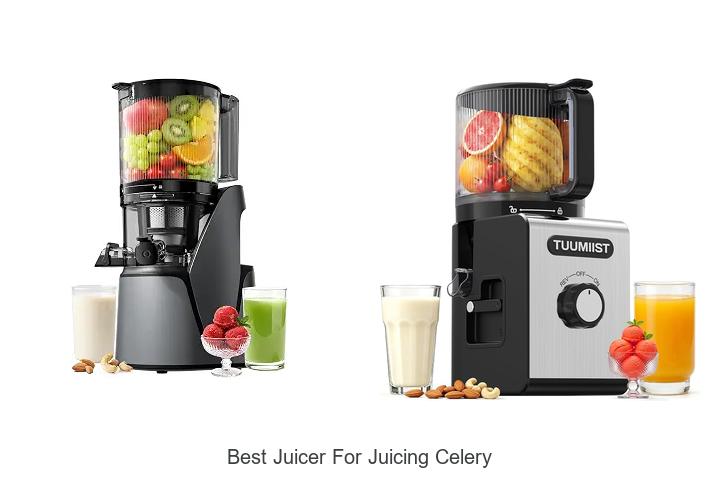 best juicer for juicing celery