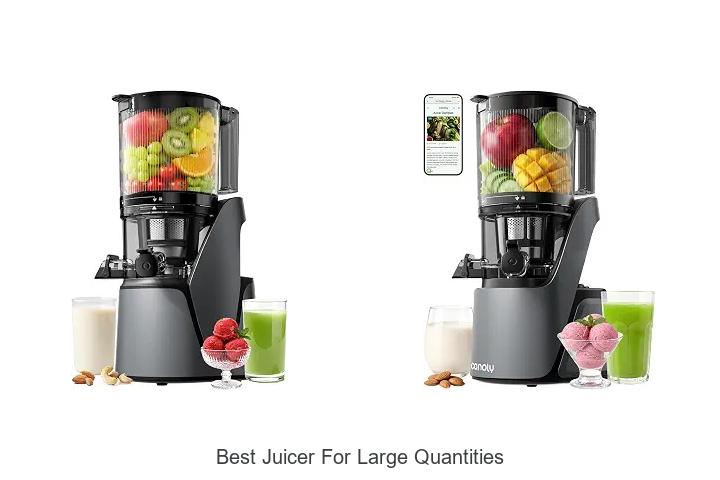 best juicer for large quantities