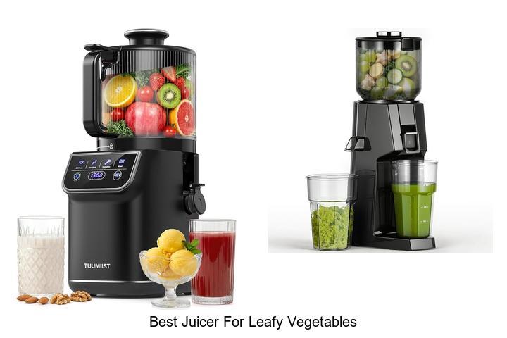 best juicer for leafy vegetables
