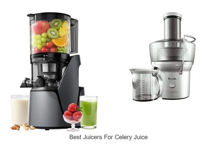 best juicers for celery juice