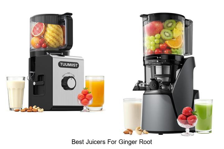 best juicers for ginger root