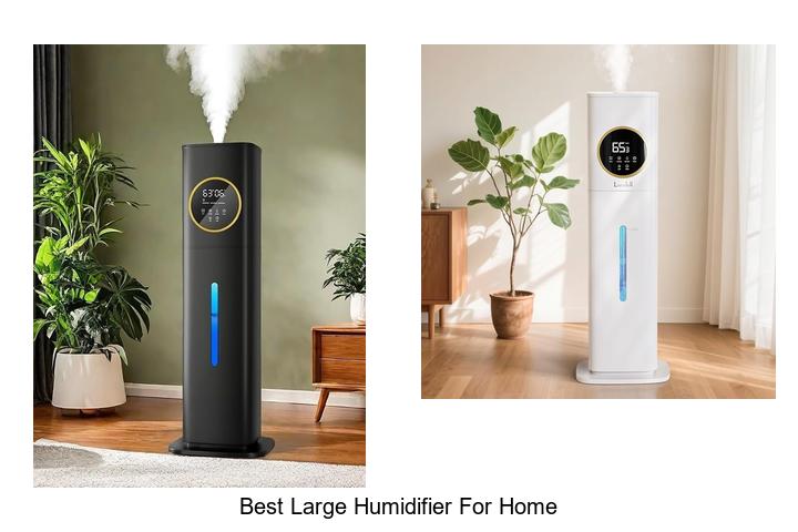 best large humidifier for home