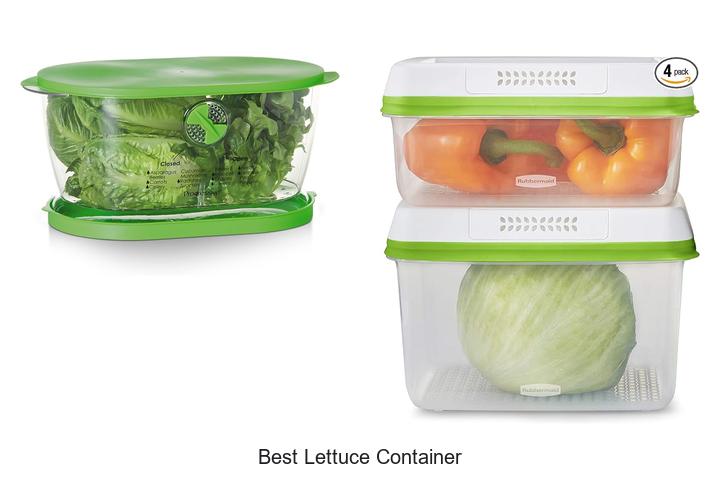 best lettuce container