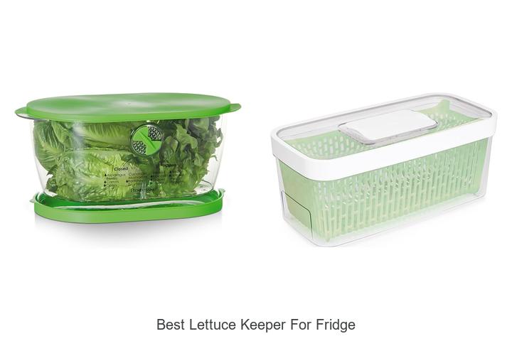best lettuce keeper for fridge