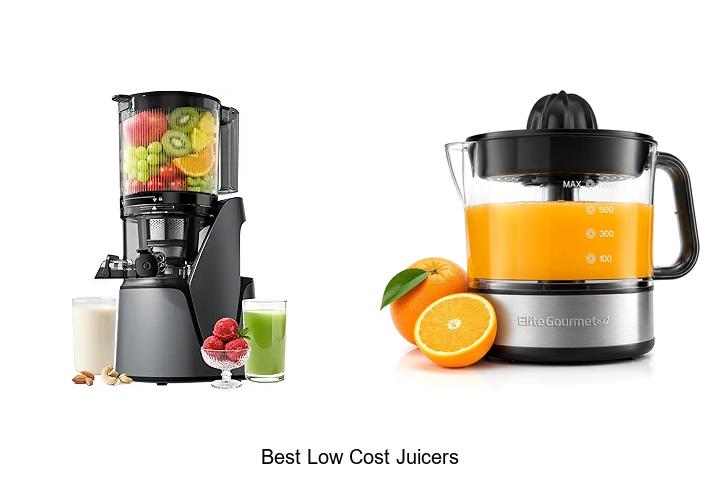 best low cost juicers