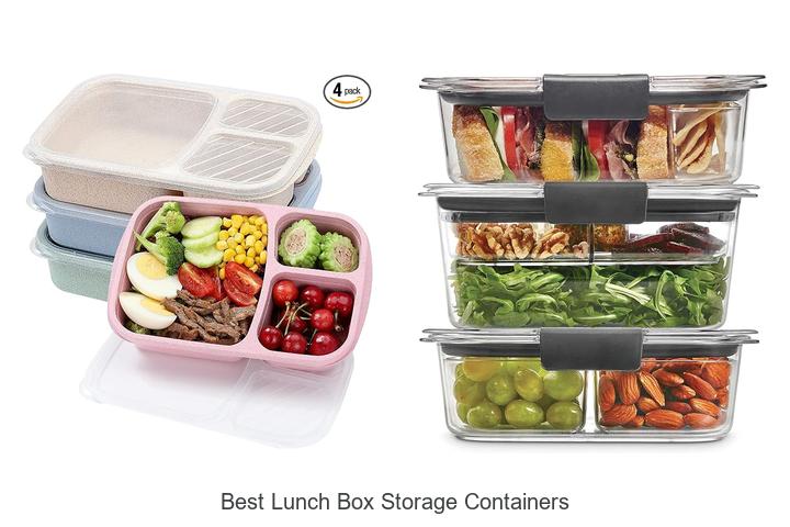 best lunch box storage containers