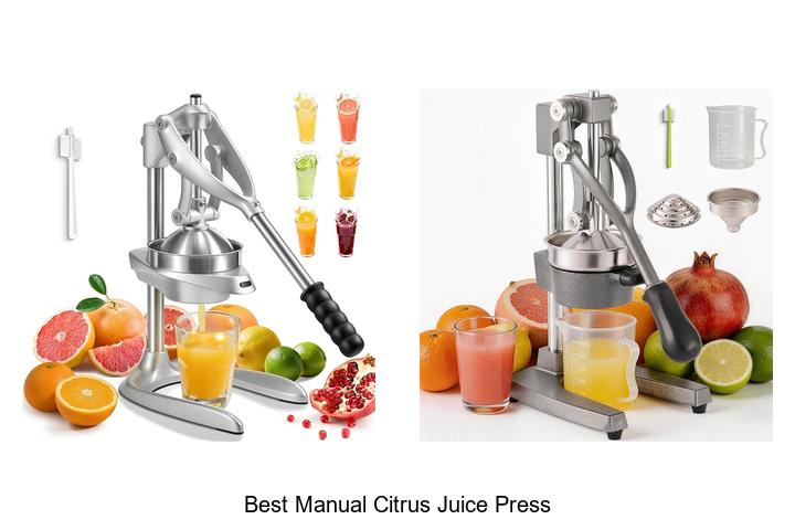 best manual citrus juice press