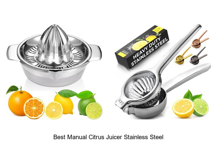 best manual citrus juicer stainless steel