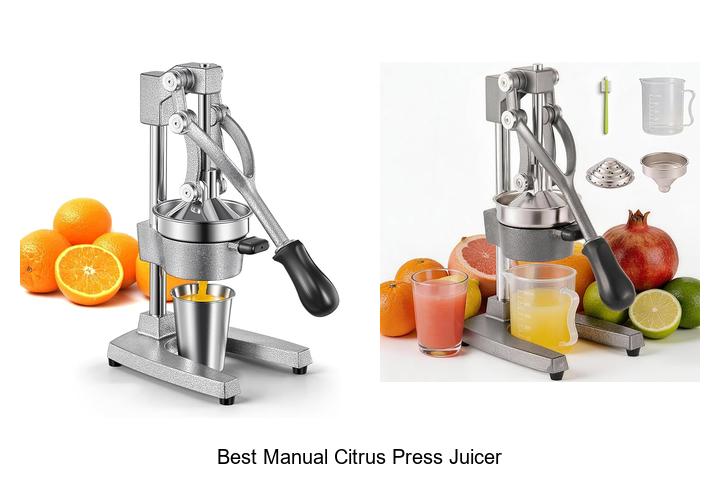 best manual citrus press juicer