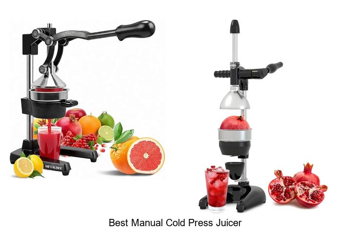 best manual cold press juicer