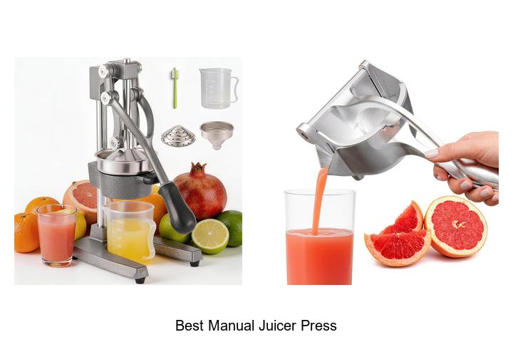 best manual juicer press