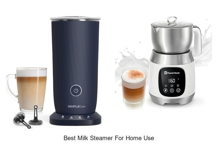 best milk steamer for home use