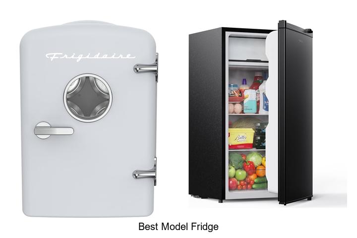 best model fridge