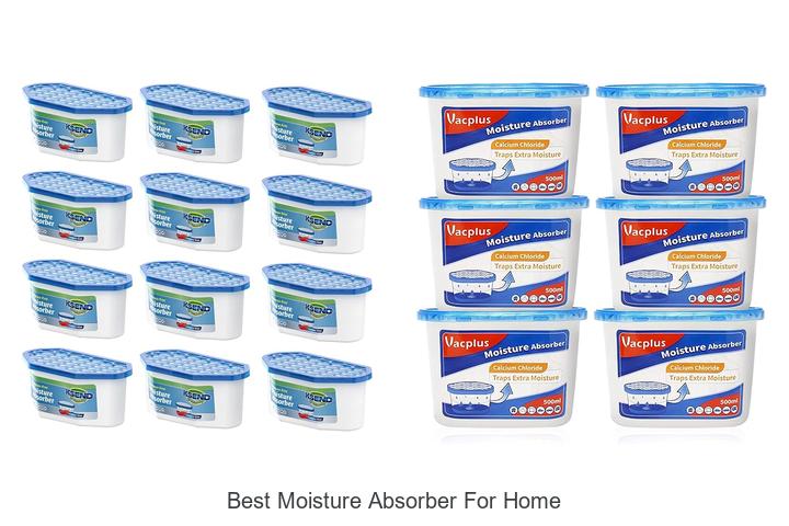 best moisture absorber for home