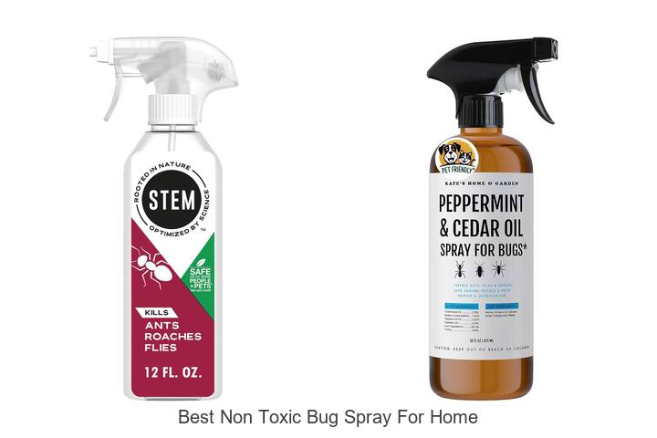 best non toxic bug spray for home