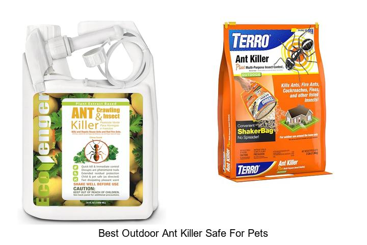 best outdoor ant killer safe for pets