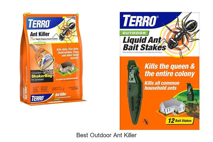 best outdoor ant killer