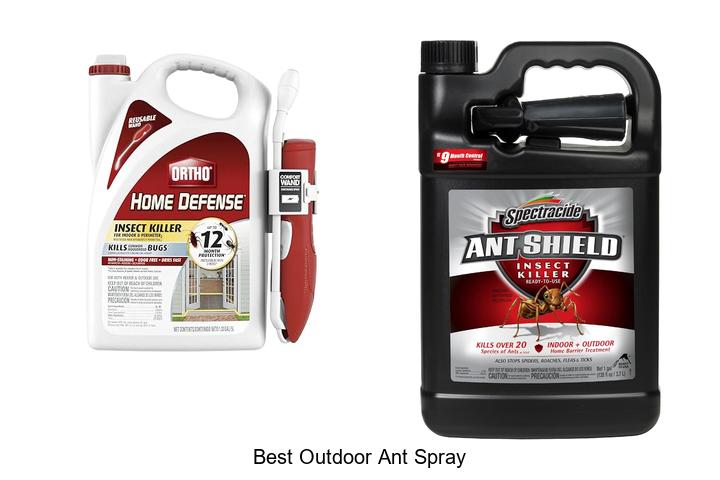 best outdoor ant spray